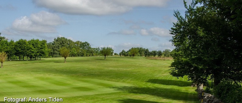 Golf i Skåne - Romeleåsens Golfklubb - bild från banan 8