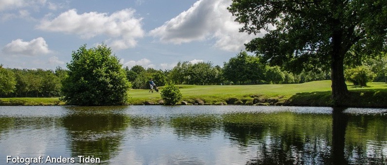 Golf i Skåne - Romeleåsens Golfklubb - bild från banan 10